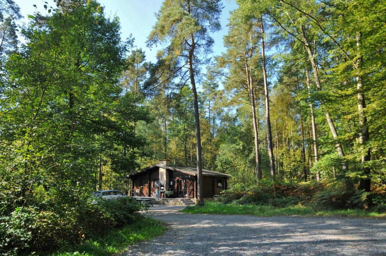 Meleze - Oignies * Petit Mesnil